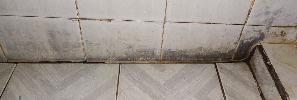 Discoloration on bathroom tile and grout; appearance does not identify mold type